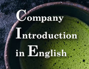 Company Introduction in English